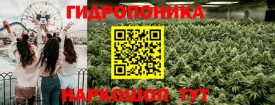 хмурый Тверь