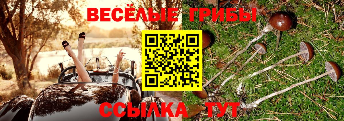 Галлюциногенные грибы MAGIC MUSHROOMS Астрахань