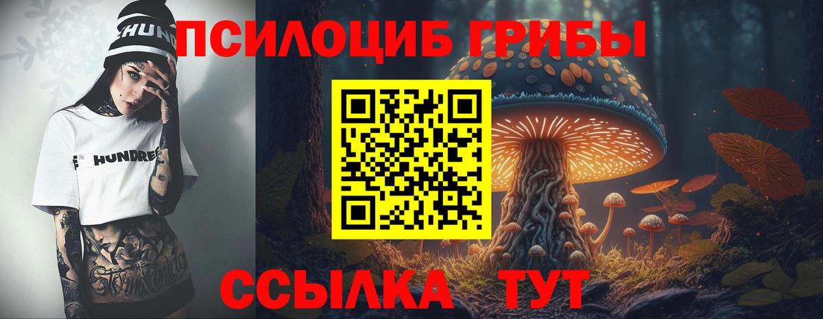 Астрахань  Галлюциногенные грибы мицелий  наркотики  Вход с VPN 